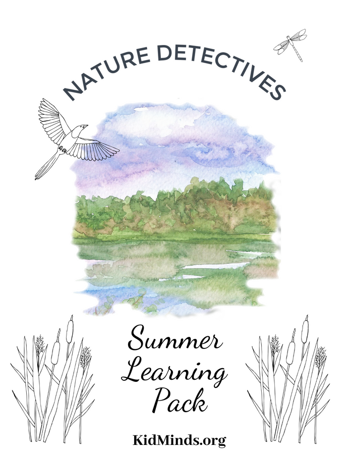 Nature Detectives Pack